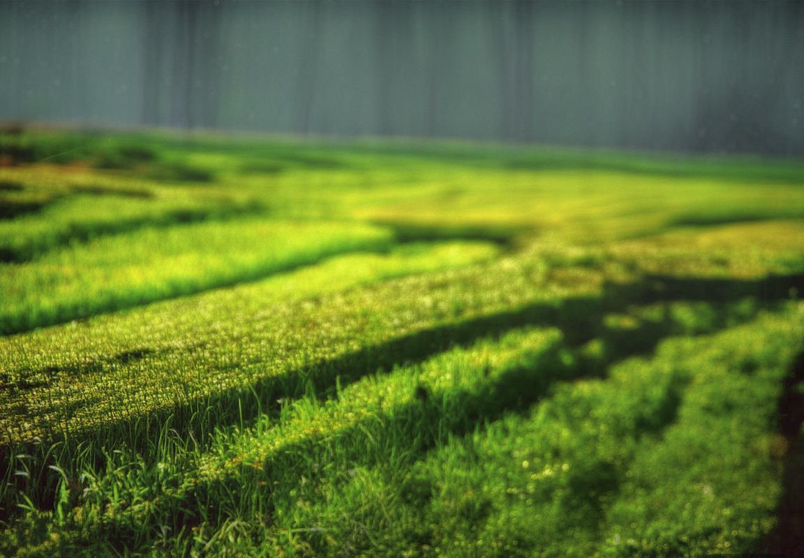 雄鹿队未来抉择：字母哥续约悬而未决，NBA争冠阵容老化与球队重建十字路口